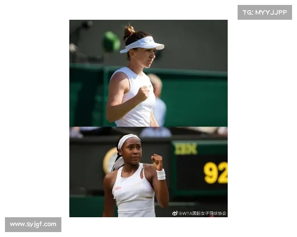 wta 网球