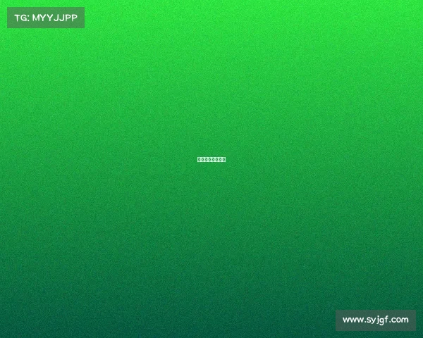 女排世联赛澳门站