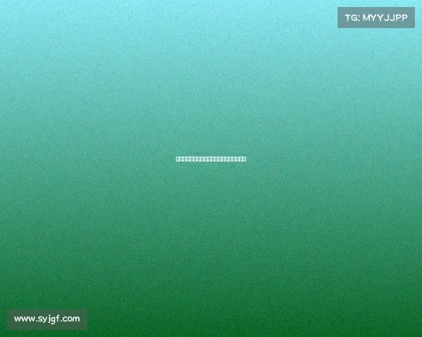 专业赛事组织服务团队为您打造完美赛事体验